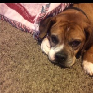 Meet your Posher, Jacob